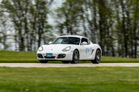 04 - White Cayman