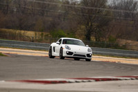 White Cayman #7-13