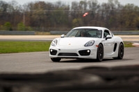 White Cayman #7-19