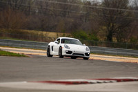 White Cayman #7-12